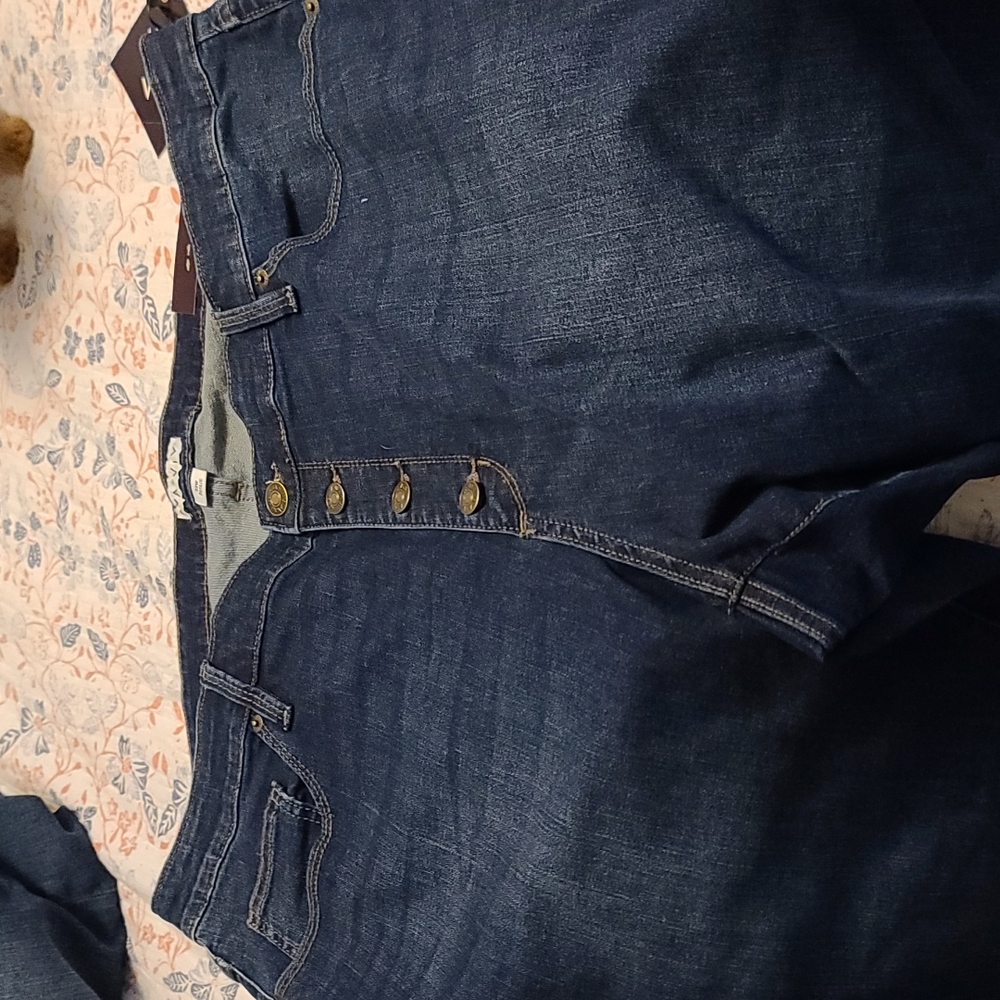 NWT AVA & VIV Stretch Jeans 22W